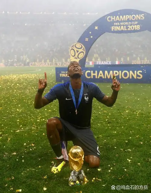 布去留问题 布去留问题