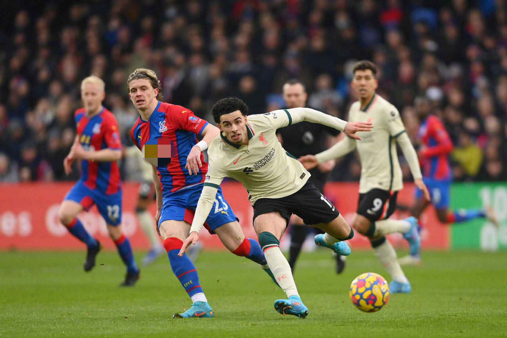 它不仅能跨 它不仅能跨